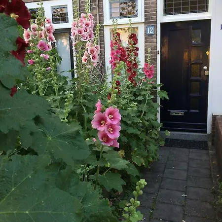 Le Rêve * Nijmegen